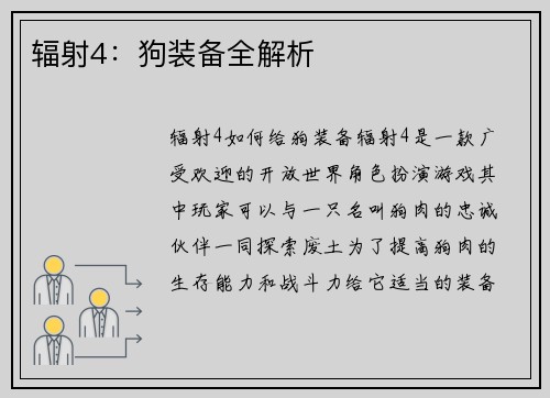 辐射4：狗装备全解析
